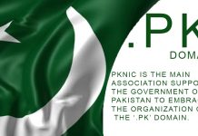 What is .pk Domain? How would we search Domains on Google? pk domain