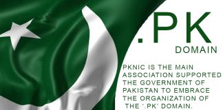 What is .pk Domain? How would we search Domains on Google? pk domain